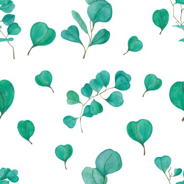 Suluboya çiçek çizimi seti - yeşil yaprak dalları koleksiyonu, düğün kırtasiyesi, selamlar, duvar kağıtları, moda, arka plan. Okaliptüs, zeytin, yeşil yapraklar, vs..