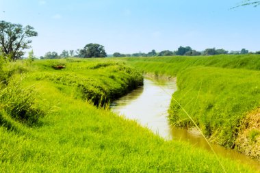 Doğada küçük bir nehrin güzel manzarası güneşli bir günde Kolombiya 'nın dış mahallelerinde güzel mavi gökyüzü.
