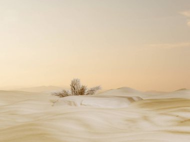 Kum tepeciklerinin arkasındaki soyut platform podyumu. Arkasında ayna olan taş kaide prim podyumu, yaprak. Ürünlerin tanıtımı ve kozmetik sunumu için gerçekçi pastel maketler. 3d hazırlayıcı