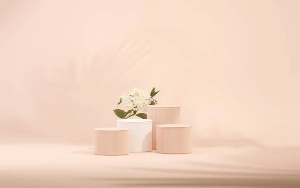 3 boyutlu podyum, gül çiçekli pastel pembe arkaplan. Orkide çiçeği ve palmiye yaprağı gölgesi. Güzellik için minimum kaide, kozmetik ürün. Valentine, kadınsı kopyalama alanı şablonu 3d oluşturma