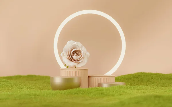 Bej Podyumlu Güzellik Kaidesi Yuvarlak Çerçeve Işık Aynalı Gül Çiçeği — Stok fotoğraf