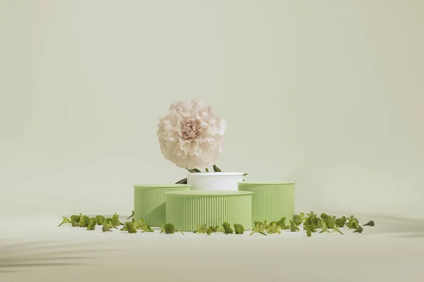 3Dディスプレイの表彰台 アジサイの花や装飾的な花瓶とパステルグリーンの背景 牡丹の花と自然葉 美しさ 製品のための最小台座 女性用コピースペーステンプレート 3Dレンダリング — ストック写真