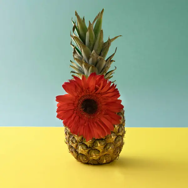 Creative Concept Pineapple Big Red Flower Blue Green Pastel Background — Stock Photo, Image