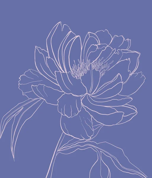 Ескіз Квітки Намальований Вручну Фіолетовими Пастельними Кольорами Друк Яєчка Плаката — стокове фото