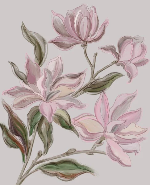 Bukiet Magnolii Ręcznie Rysować Ilustracje Kwiatów Magnolii Pastelowych Kolorach Wykonywanie — Zdjęcie stockowe