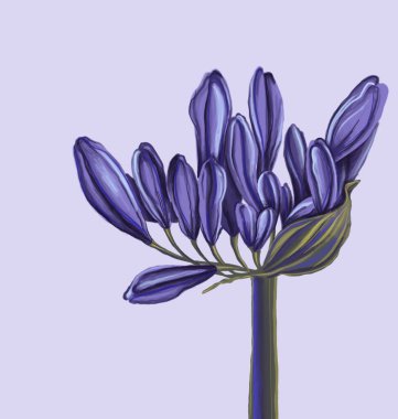 Mor renkli agapanthus çiçeğinin eskizi, pastel arka planda. Tekstil, poster ve logo için minyatür çiçek deseni.