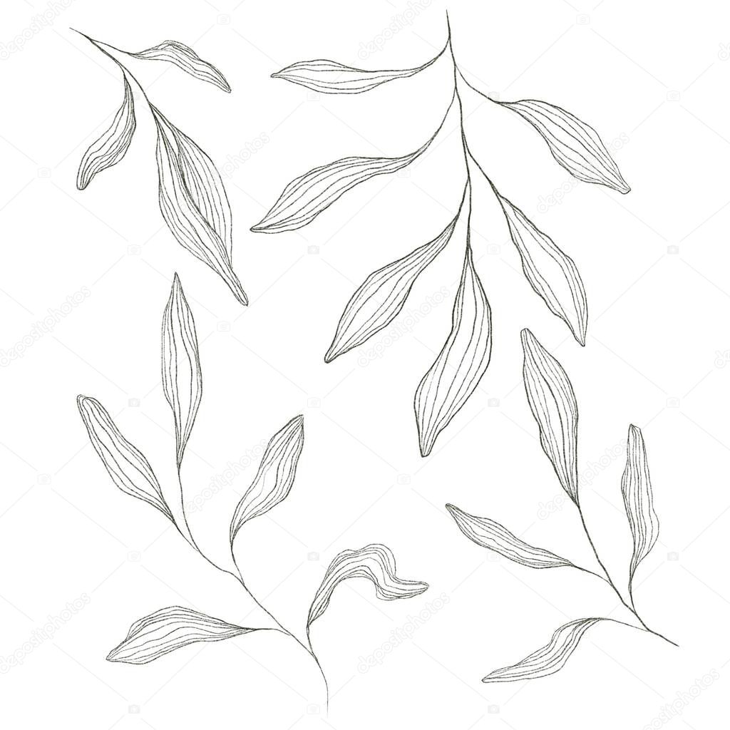 Set of leaves. Sketch of floral. Idea for a postcard, print textiles.