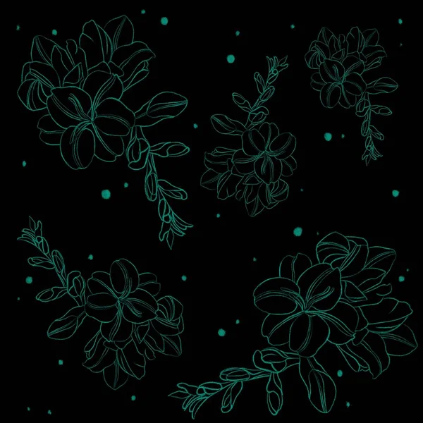 Set Floral Print Sketch Freesia Drawn Lines — Stock Photo, Image