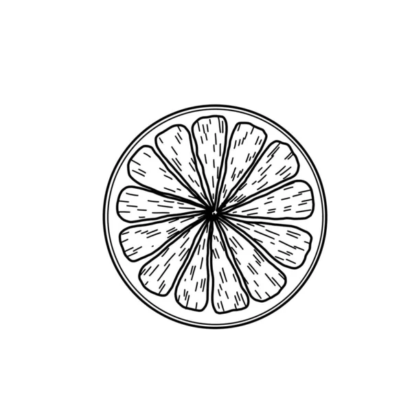 Lemon Logo Drawn Black Line Stylized Sketch Lemon Line Idea — Stock Photo, Image