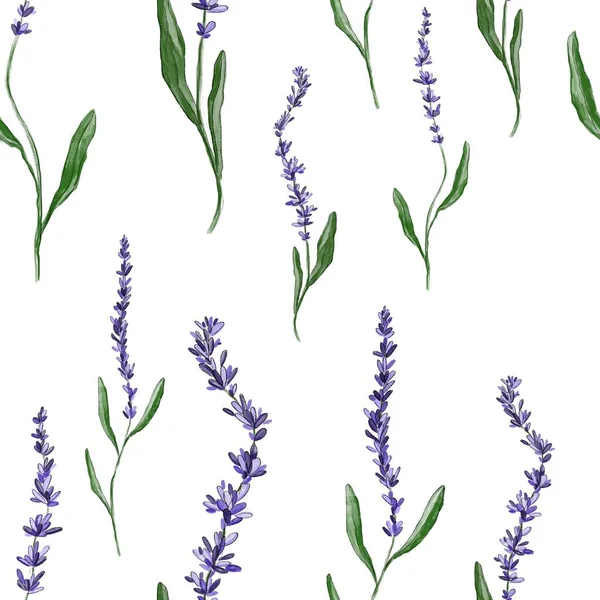 Nahtloses Muster Mit Dem Bild Von Lavendel Lavendel Wird Violett — Stockfoto