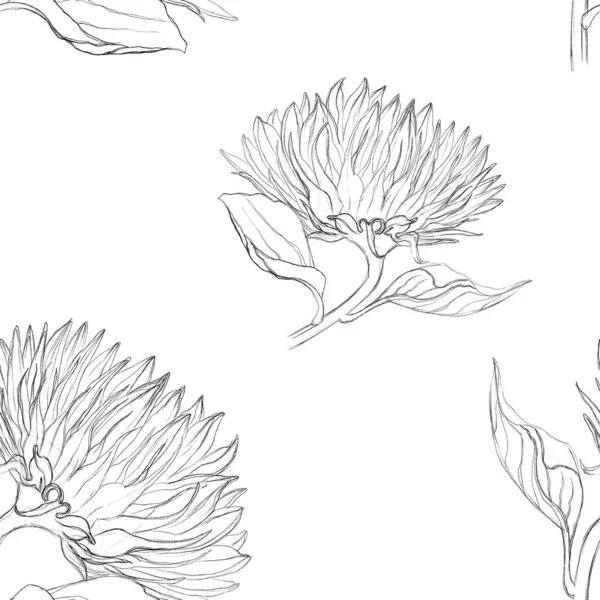 Pola Mulus Dengan Bunga Matahari Sketsa Bunga Matahari Dengan Garis — Stok Foto
