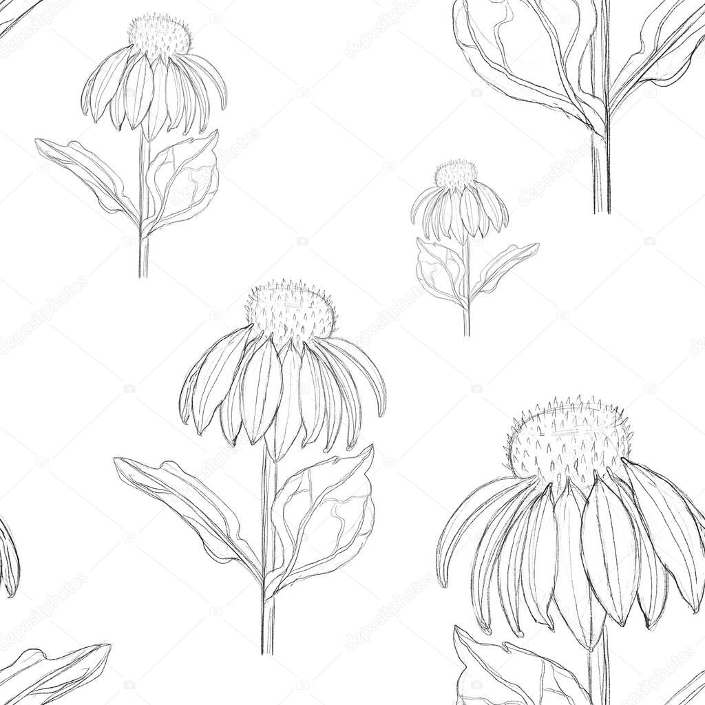 Seamless pattern with sunflowers. Sketch of sunflowers by lines. Black and white floral print. Pattern for wrapping paper, textiles.