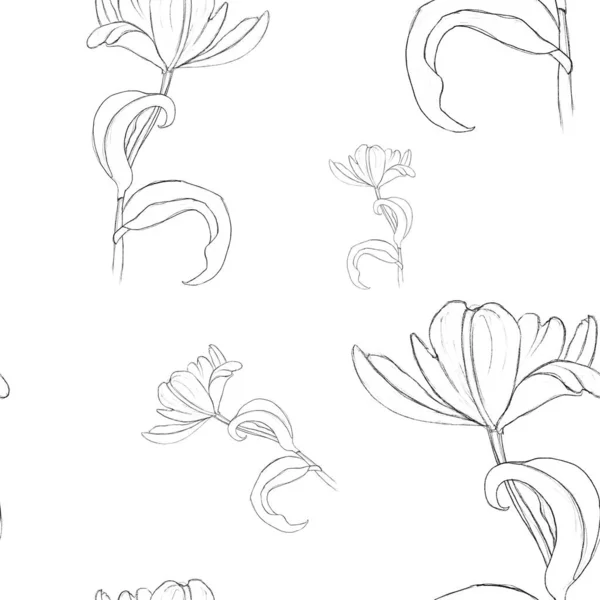 Patrón Sin Costuras Con Imagen Tulipán Con Líneas Dibujadas Impresión —  Fotos de Stock