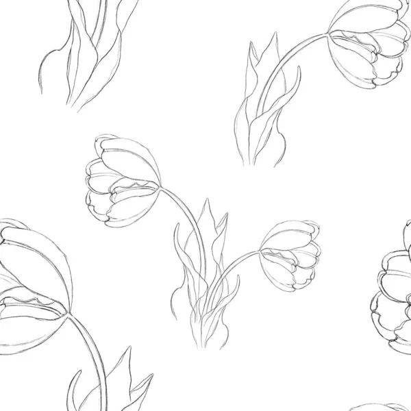 Seamless Pattern Image Tulip Drawn Lines Print Textiles Wrapping Paper — ストック写真