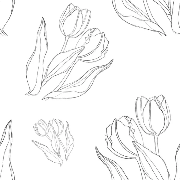 Seamless Pattern Image Tulip Drawn Lines Print Textiles Wrapping Paper — стоковое фото