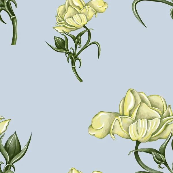 Sarı-yeşil gölgeli, elle çizilmiş ranunculus deseni. Mavi arka plan. Tekstil, duvar kağıdı, kartpostal, kıyafet, poster baskısı.
