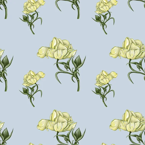 Seamless Pattern Hand Drawn Ranunculus Yellow Green Shades Blue Background — Foto de Stock