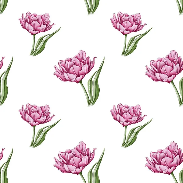 Seamless Pattern Image Pink Tulip Print Textiles Wallpaper Postcards Posters — Foto de Stock