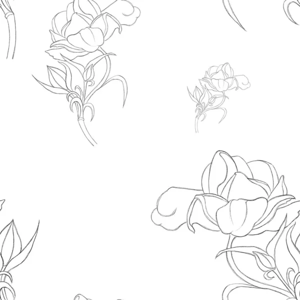 Seamless Pattern Hand Drawn Ranunculus Line Print Textiles Wallpaper Postcards — Stock Photo, Image