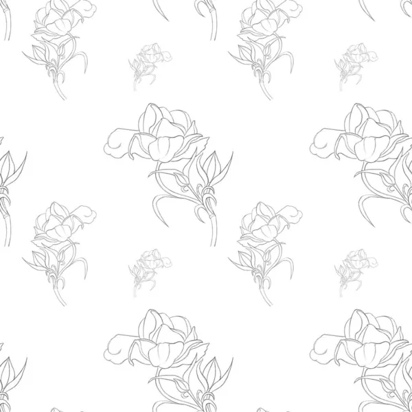 Seamless Pattern Hand Drawn Ranunculus Line Print Textiles Wallpaper Postcards — 스톡 사진