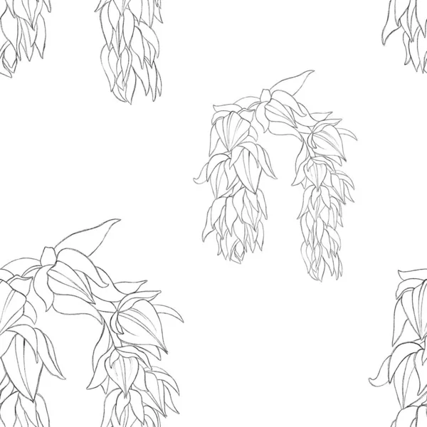 Hand Drawn Collection Leaves Seamless Pattern Drawn Echeverias Floral Print — Foto Stock