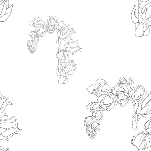 hand drawn collection of leaves. Seamless pattern with drawn echeverias. Floral print for textiles, wallpaper, postcards, accessories, logos. Print for clothes, posters.