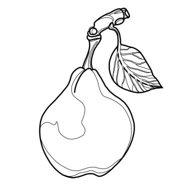 Line illustration of a pear in black. A minimalist image of a pear. Print for clothes, accessories, kitchen textiles. Black line fruit icon.