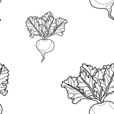 A minimalistic pattern with beets drawn with black lines. Pattern for kitchen wallpaper, wallpaper, poster, screen saver, postcard.