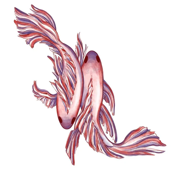 Digitalmente Desenhado Aquarela Peixe Ilustração Pode Ser Usado Para Impressão — Fotografia de Stock