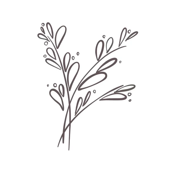 Абстрактний Фон Мінімальна Мальована Рука Квіткового Ботанічного Мистецтва Ілюстрація Логотипу — стокове фото