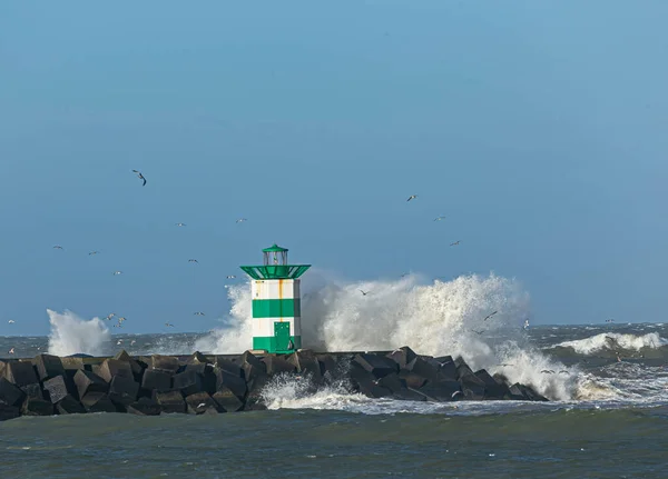 Fırtına sırasında dalgaların vurduğu deniz feneri.