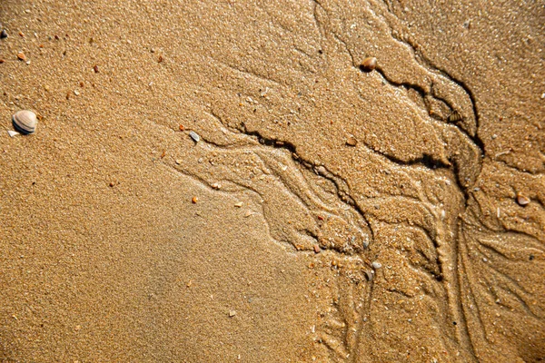 Kumsalda kumlara oyulmuş soyut şekiller.