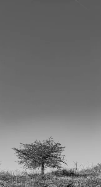 Kumsalda kumlara oyulmuş soyut şekiller.