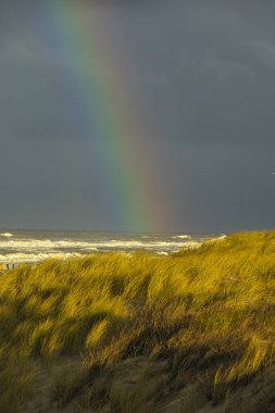 Arka planda gökkuşağı olan kumullar
