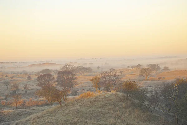 Güneşin doğuşunda sisli bir sabahta kum tepeleri