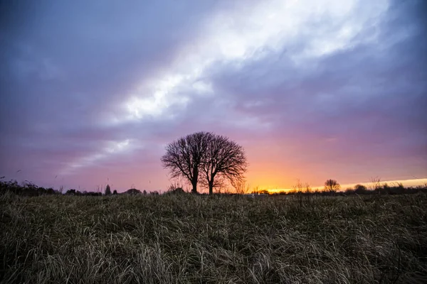 Güneş doğarken yalnız ağaç bulutlarla