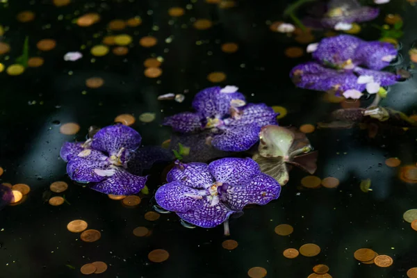 Gölette yüzen mavi orkideler ve altında bozuk paralar.