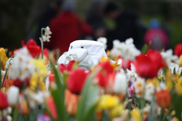 Lale çiçekli şapkalar