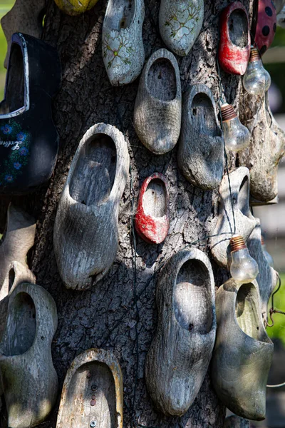 Fotoğraf Marken 'de çekildi. Hollanda 'da geleneksel bir balıkçı köyü. Ağaç bahçedeydi. İnsanların hala kullandığı ahşap ayakkabıları astılar. Bana soy ağacı gibi geldi.