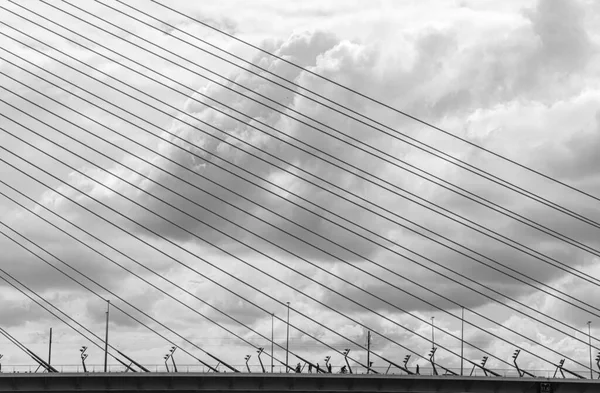 Bu Hollanda Rotterdam 'daki Erasmus köprüsünün bir ayrıntısı. Resim bir tekneden alınmıştır.