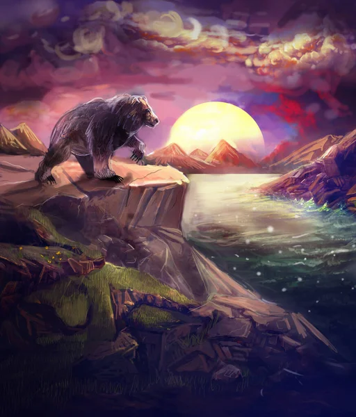 Медведь Закате Горах — стоковое фото