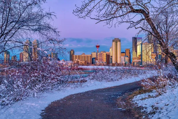 Calgary Skyline Views Winter Park Pathway — Stock Photo, Image