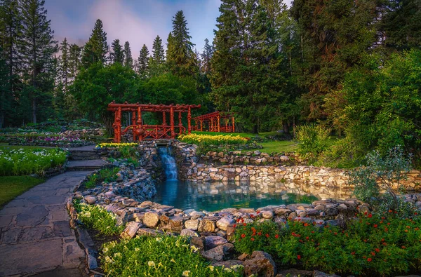 Jardin Été Tranquille Dans Parc National Banff — Photo