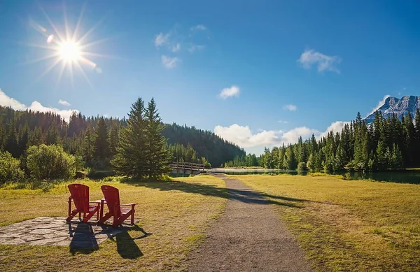 Ciel Ensoleillé Qui Brille Sur Sentier Dans Parc Banff — Photo