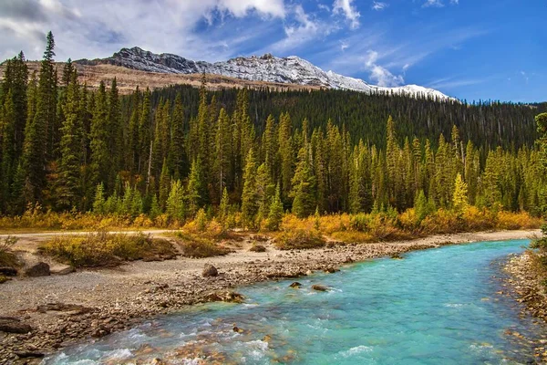 River Flowing Mountain Park — Stock Fotó