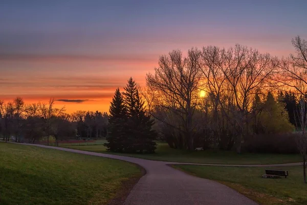 Spring Sunrise In A Calgary Park