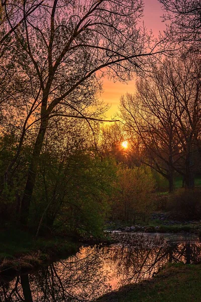 Reflexões Nascer Sol Silhuetas Árvores Parque Primavera — Fotografia de Stock