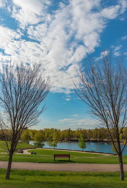 Ein Schöner Blick Auf Einen Calgary Park Sommer — Stockfoto