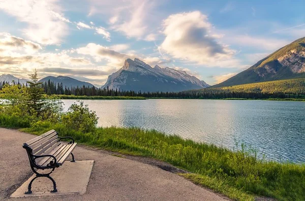 Bench Looking Out Vermilion Lakes Summer Morning — 图库照片