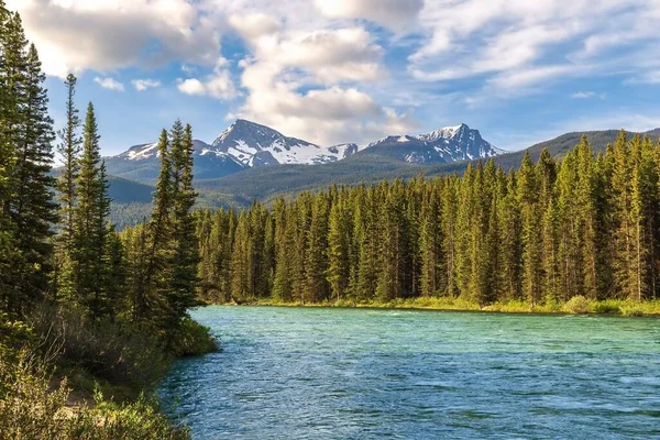 River Flowing Mountains Trees Banff National Park — Stock Fotó